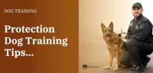 Protection Dog Training Tips