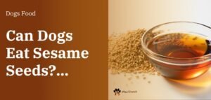 Can Dogs Eat Sesame Seeds