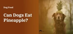 Can Dogs Have Pineapple